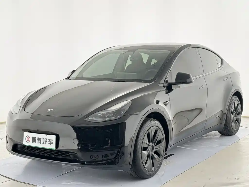 Tesla Model Y — миниатюра 4