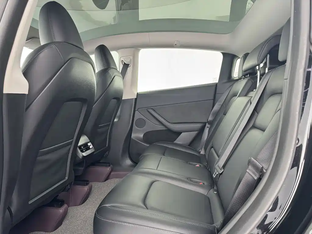 Tesla Model Y — миниатюра 7