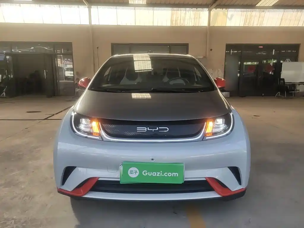 BYD Dolphin — миниатюра 3