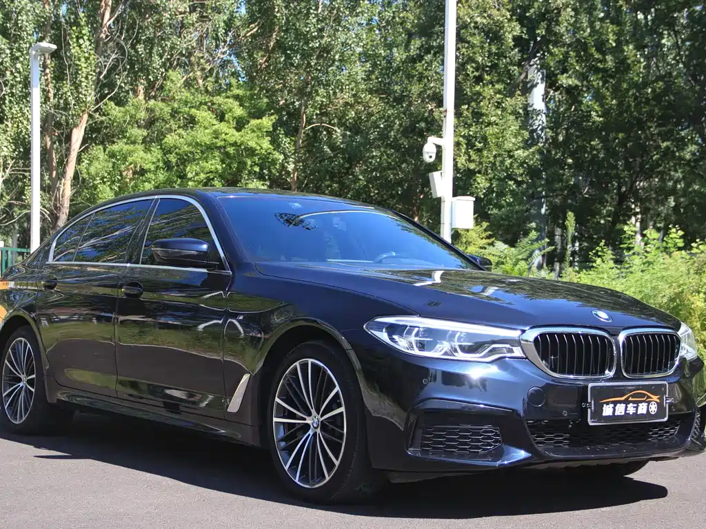 BMW 5 Series — миниатюра 3
