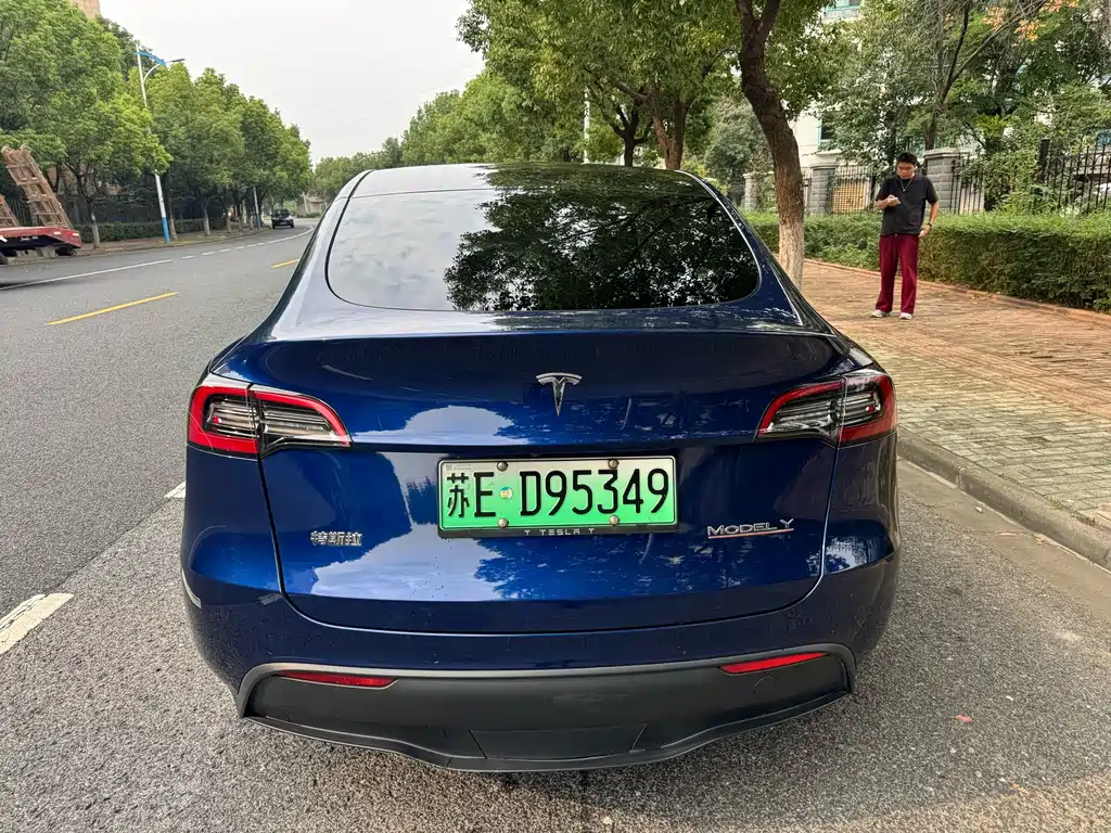 Tesla Model Y — миниатюра 4