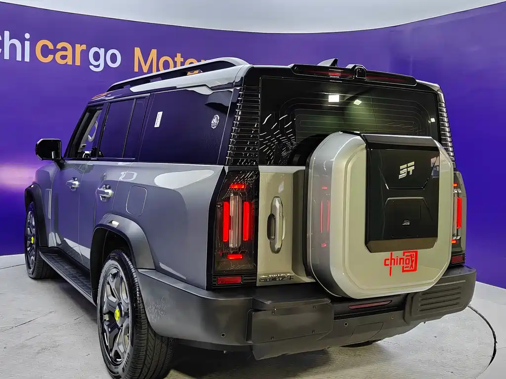 Shanhai Traveller C-DM — миниатюра 4