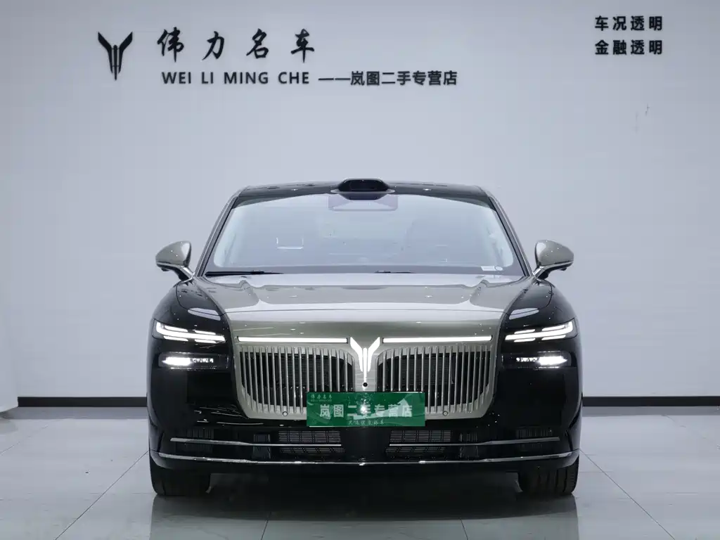 VOYAH Passion L — миниатюра 2