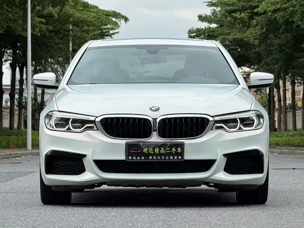 BMW 5 Series — миниатюра 2