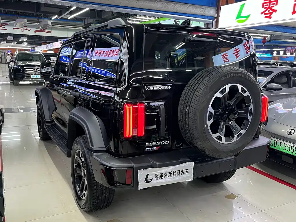 Tank Tank 300 New Energy — миниатюра 4