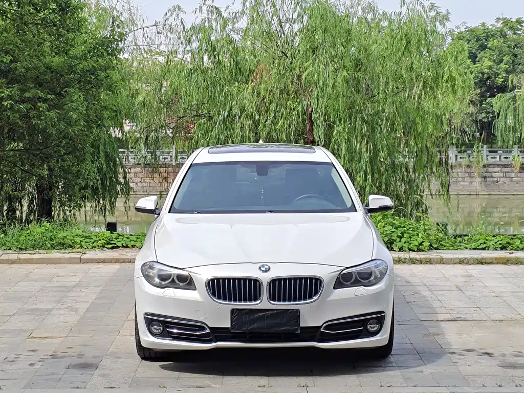 BMW 5 Series — миниатюра 2