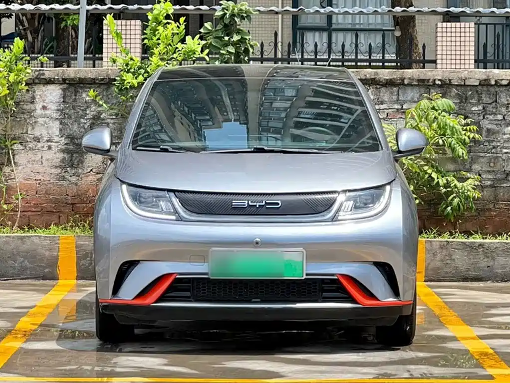 BYD Dolphin 2021 405km Fashion