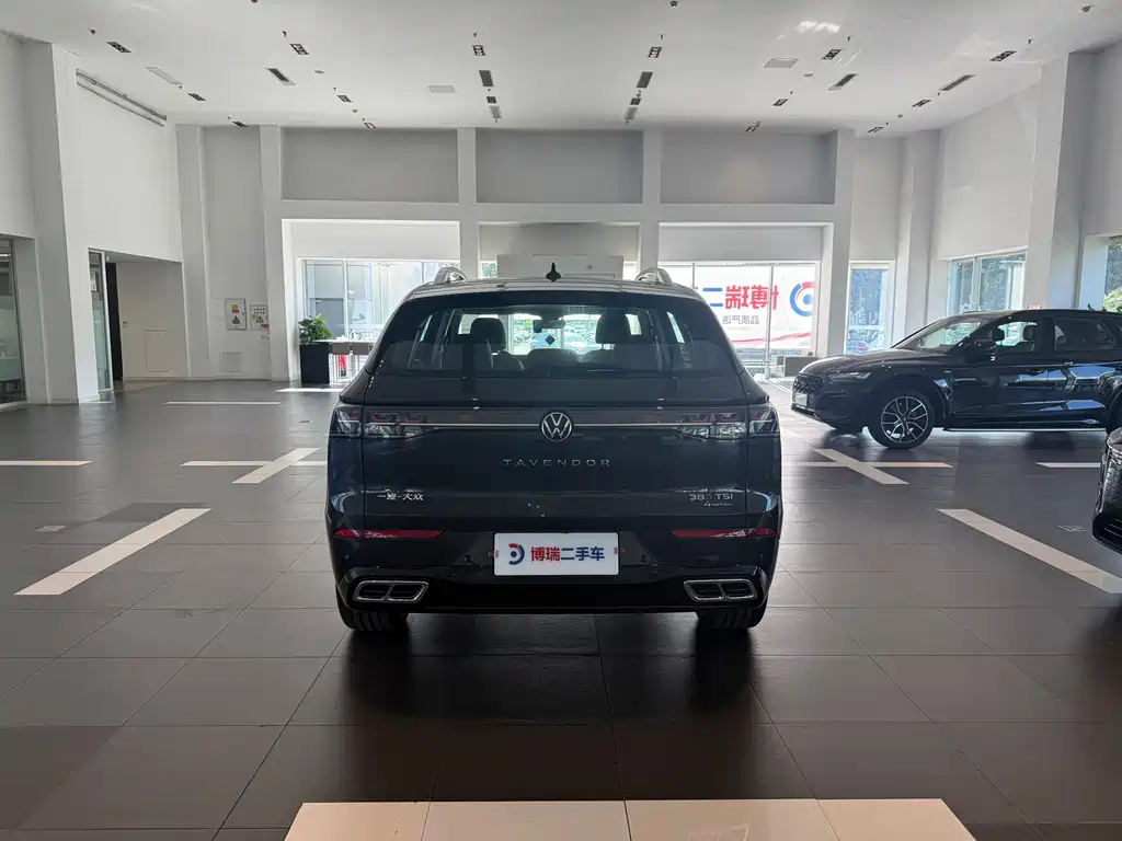 Volkswagen Tavendor — миниатюра 6