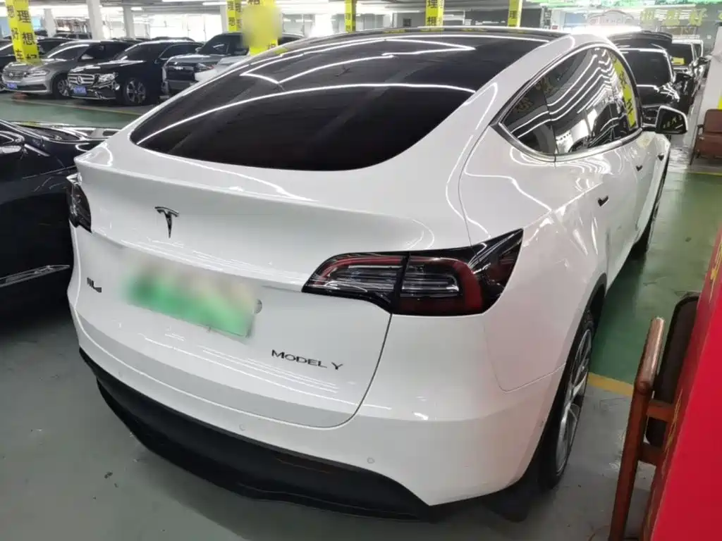 Tesla Model Y — миниатюра 7