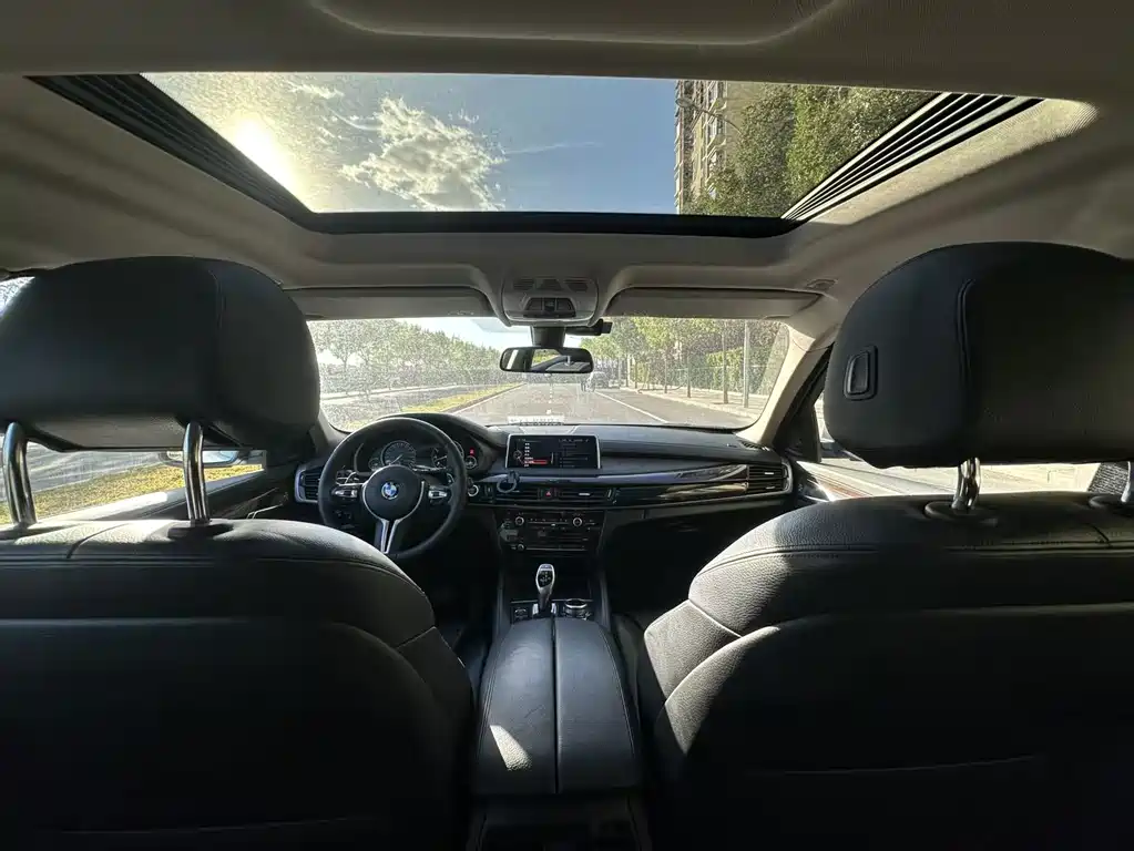 BMW X6 — миниатюра 33