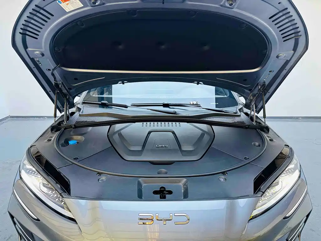 BYD SONGJIANG NEW ENERGY