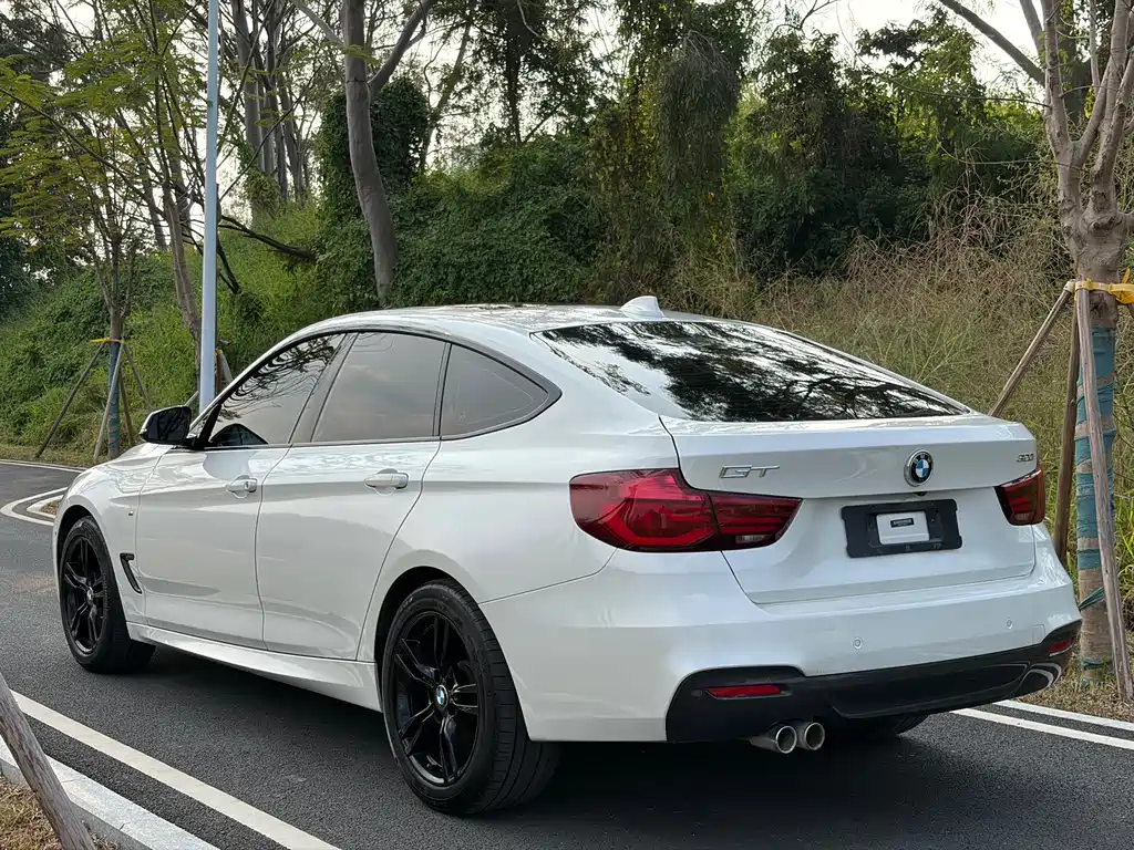 BMW 3 Series GT — миниатюра 10