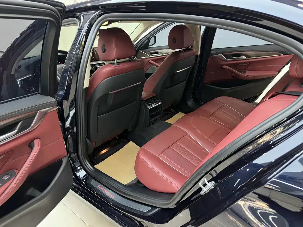 BMW 5 Series 5 2021 530Li Lead Luxury