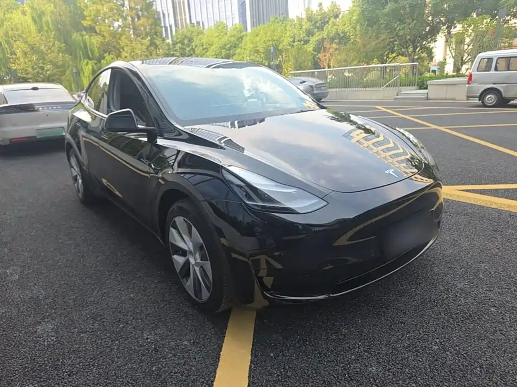 Tesla Model Y — миниатюра 4