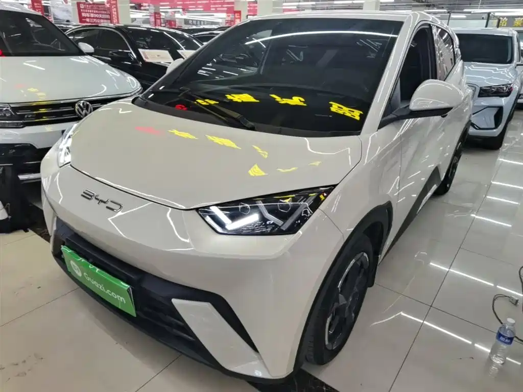 Byd Seagull 2024