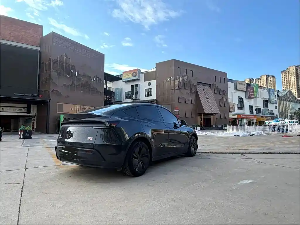 Tesla Model Y — миниатюра 8