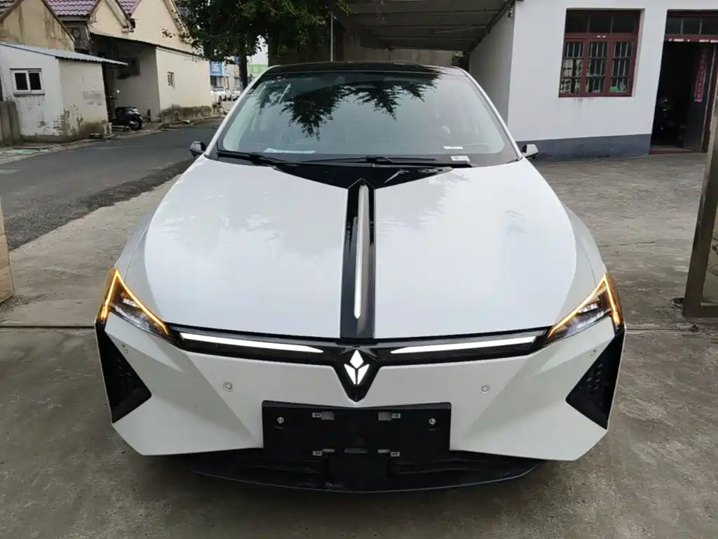Lingxi Lingxi L — миниатюра 3