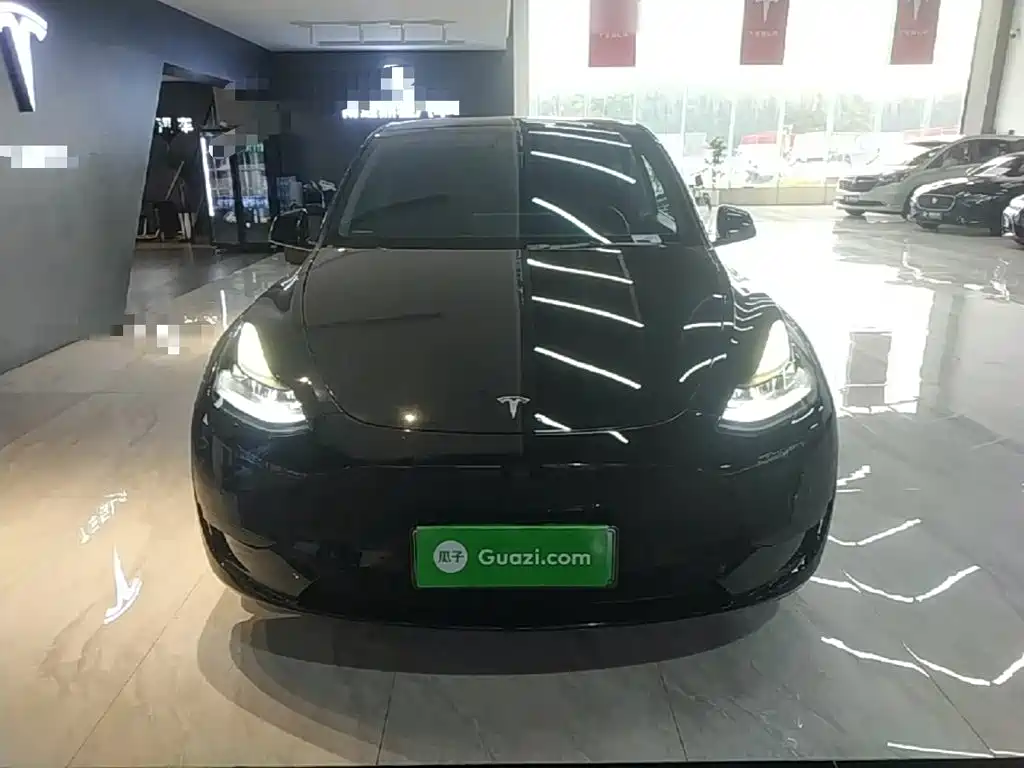 Tesla Model Y — миниатюра 3