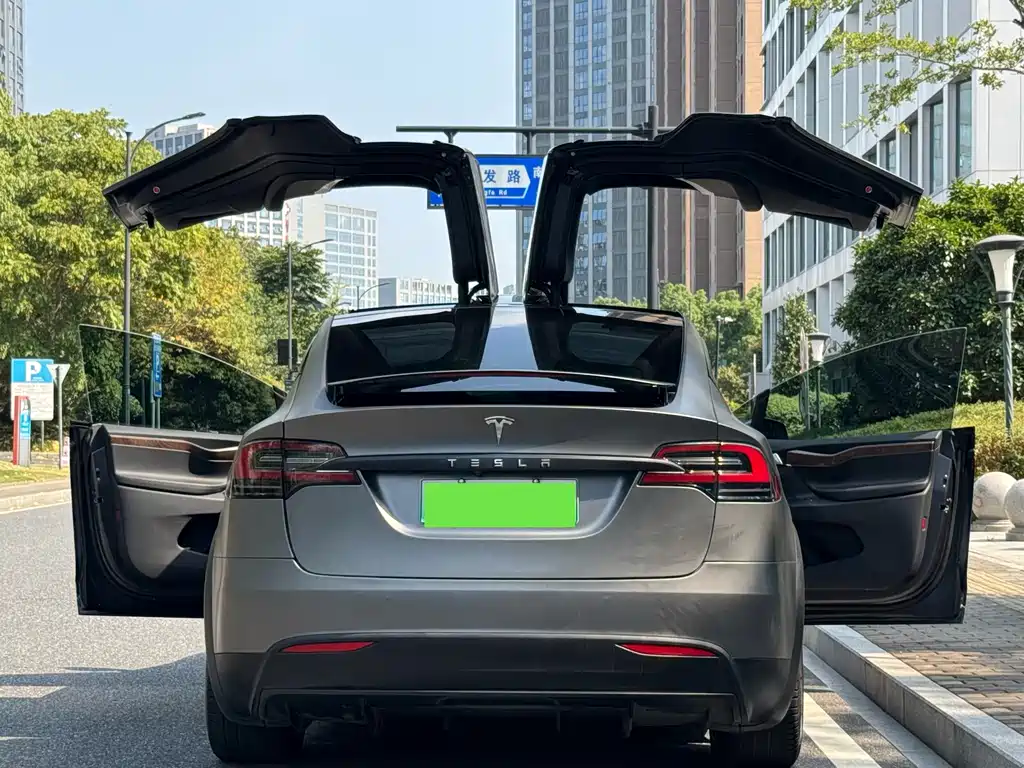 Tesla Model X — миниатюра 17
