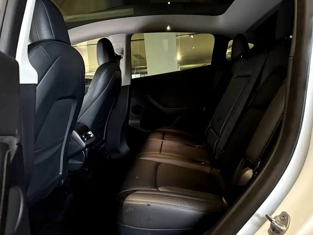 Tesla Model Y — миниатюра 6