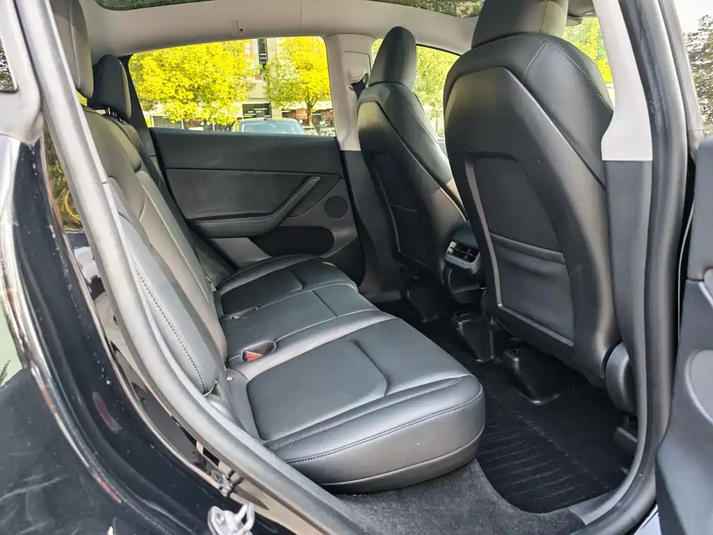 Tesla Model Y — миниатюра 11