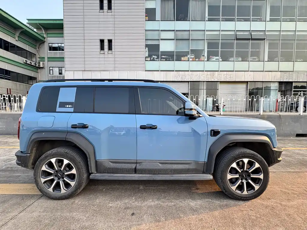 FANG CHENG BAO LEOPARD 5