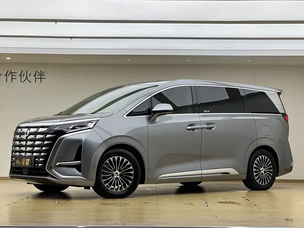 Denza Denza D9