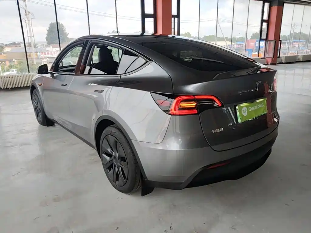 Tesla Model Y — миниатюра 5