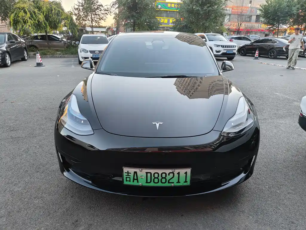 Tesla Model 3 — миниатюра 2