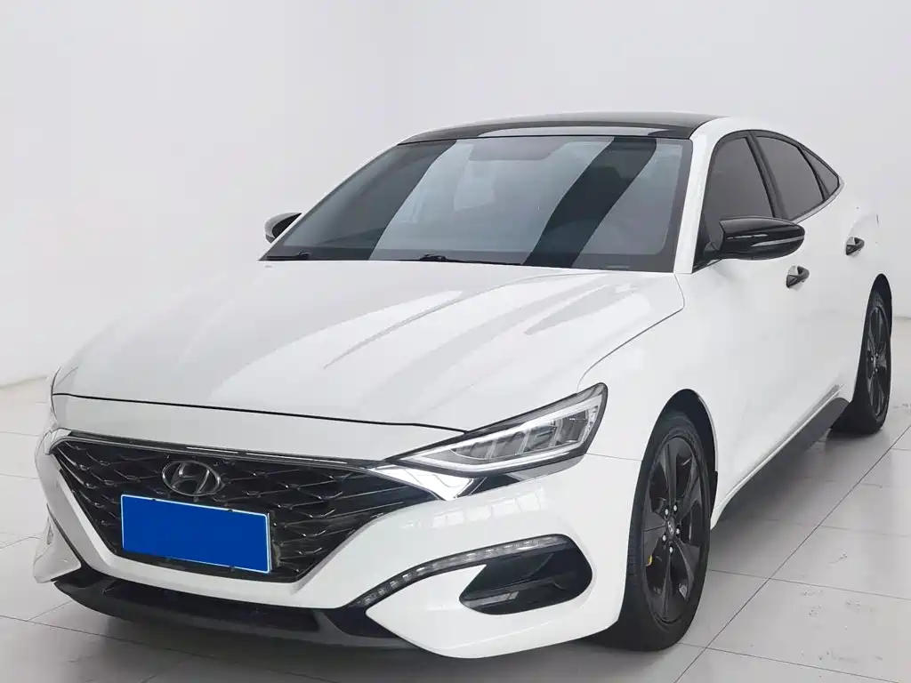 Hyundai Fista — миниатюра 2