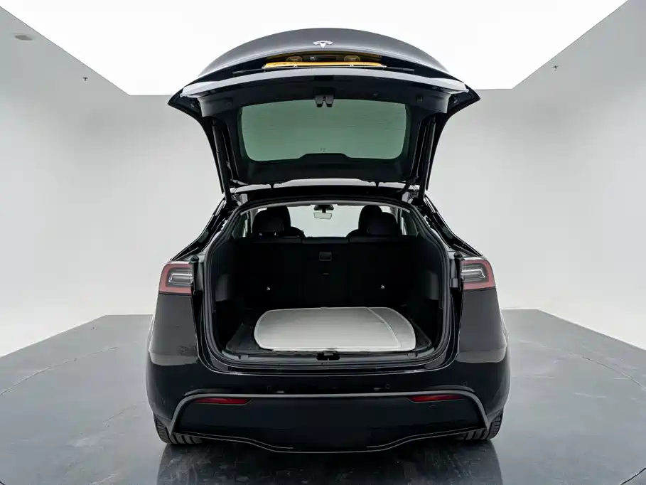 Tesla Model Y — миниатюра 27
