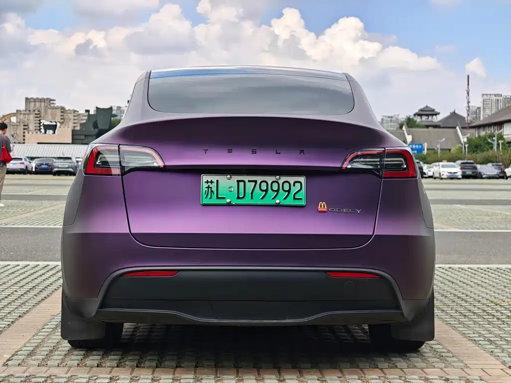 Tesla Model Y — миниатюра 7