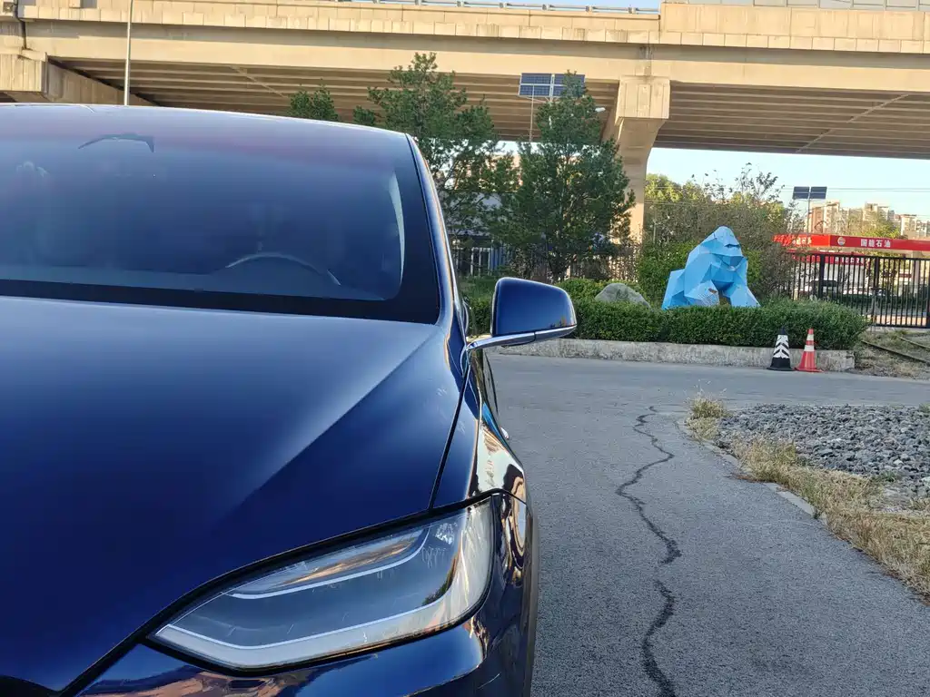 Tesla Model X — миниатюра 4