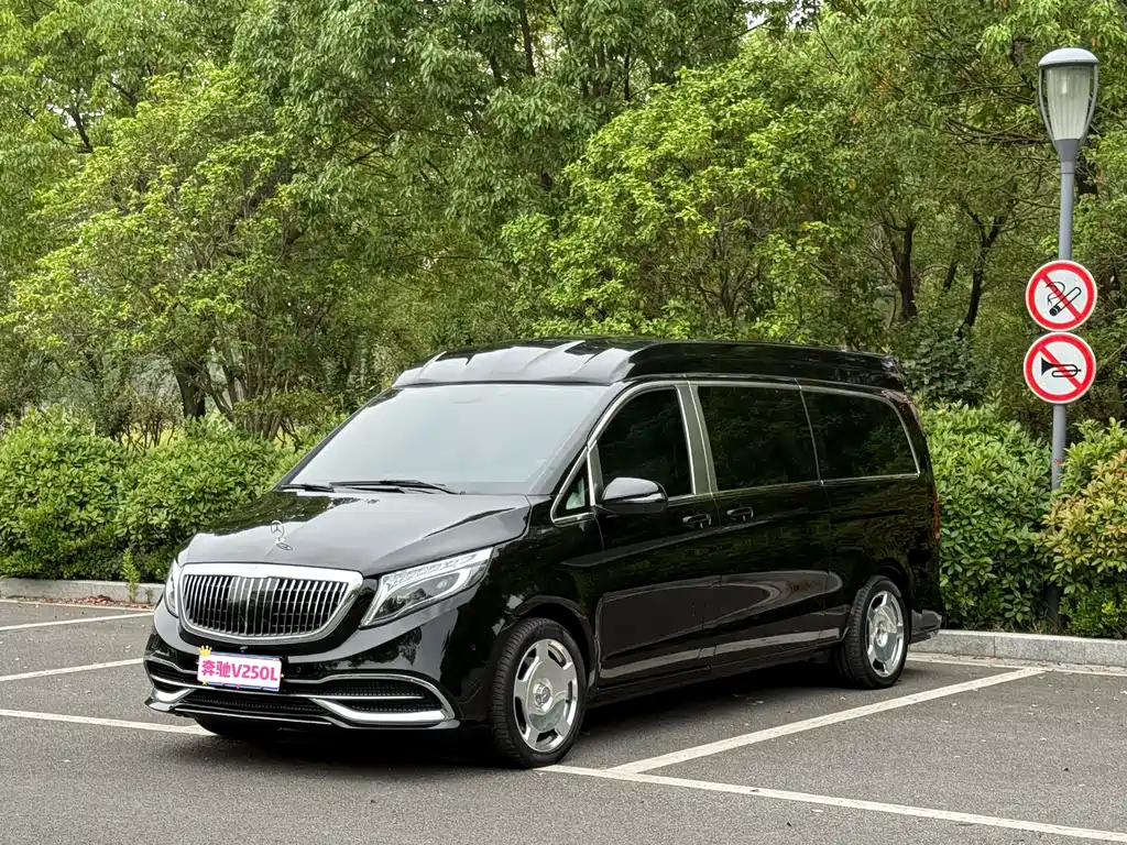 Mercedes-Benz V-Class (Import) — миниатюра 3