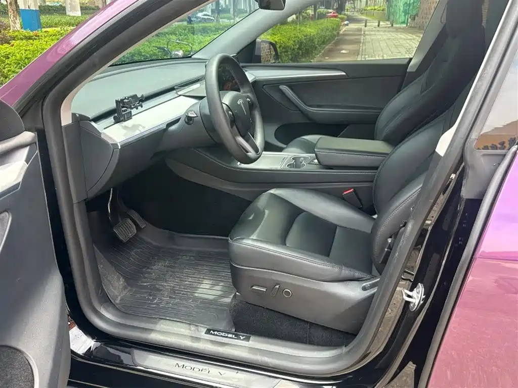 Tesla Model Y — миниатюра 4