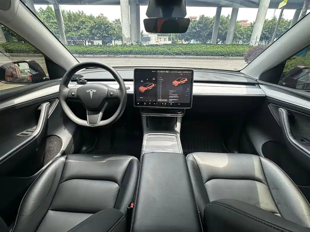 Tesla Model Y — миниатюра 3