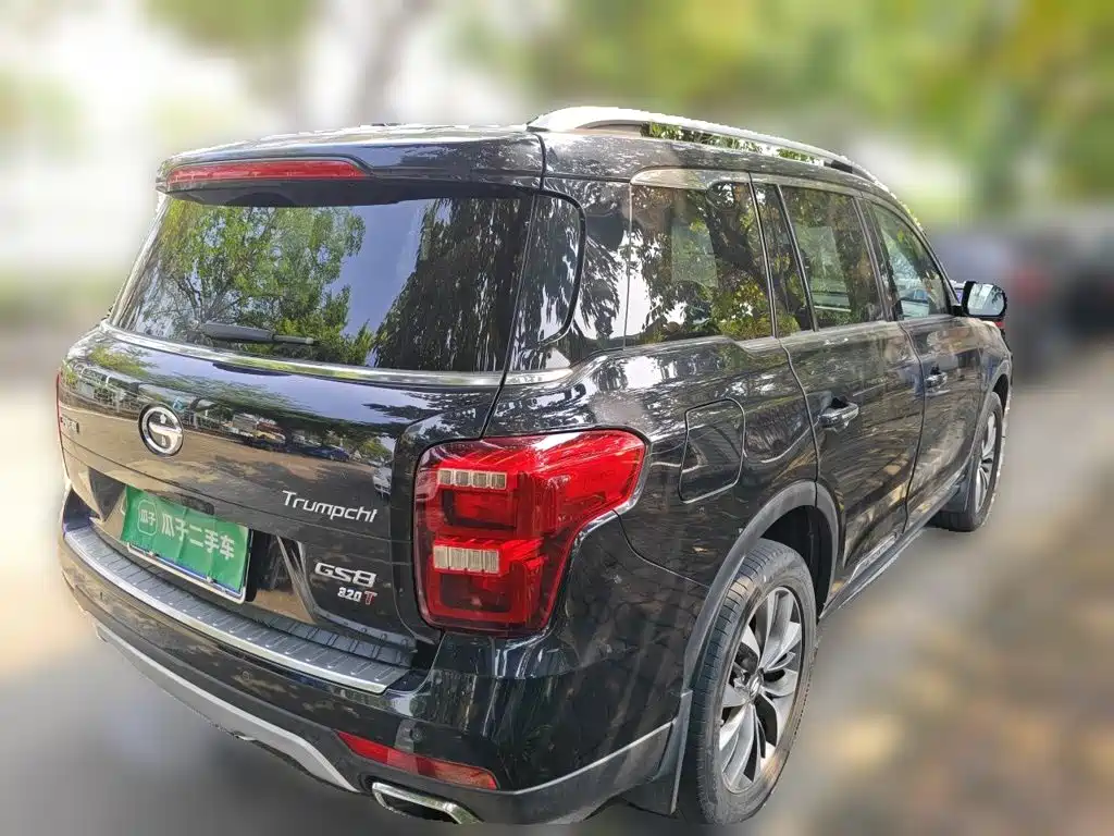 GAC Motor Trumpchi GS8 — миниатюра 6