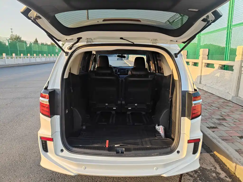 Honda Elysion — миниатюра 7