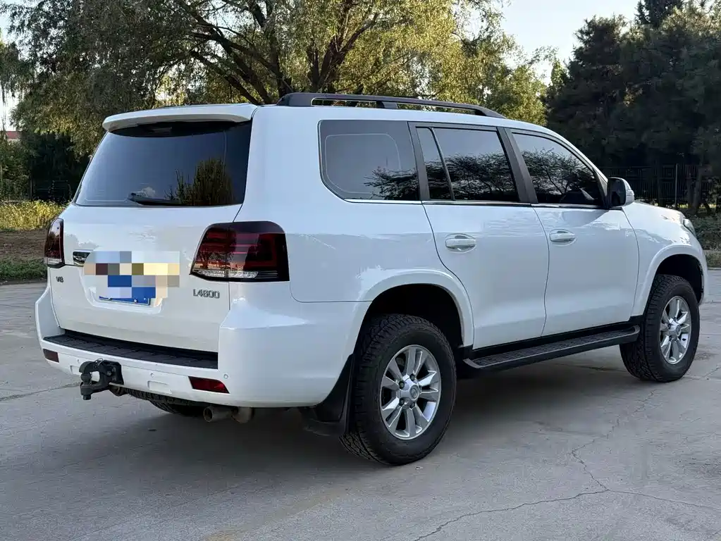 Hengtian L4600 4.6L V8 Pilot Version, фото 9