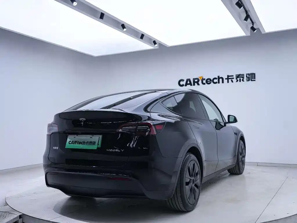 Tesla Model Y — миниатюра 21