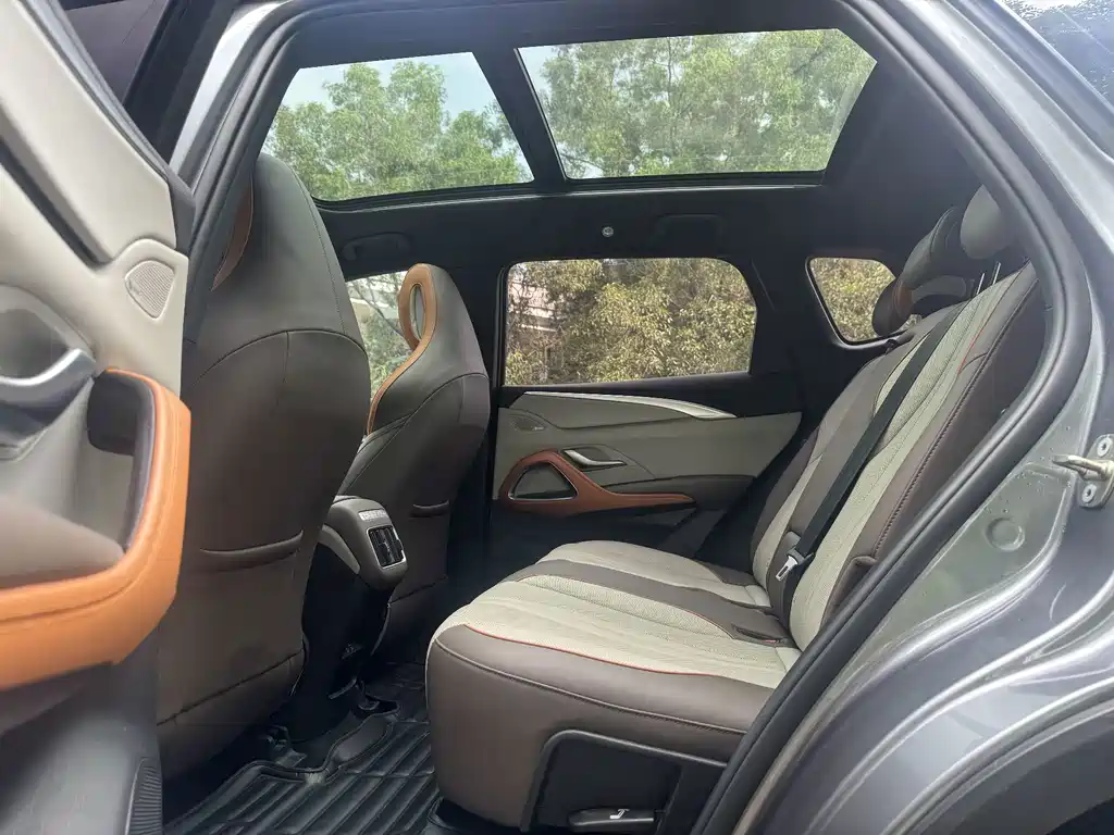 BYD Pro New Energy — миниатюра 11