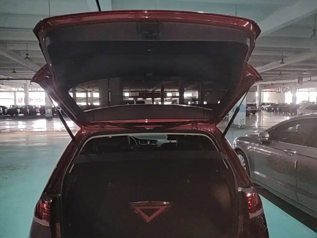 Volkswagen Golf — миниатюра 19