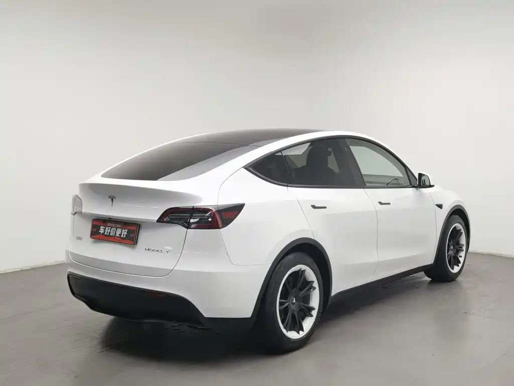 Tesla Model Y — миниатюра 2