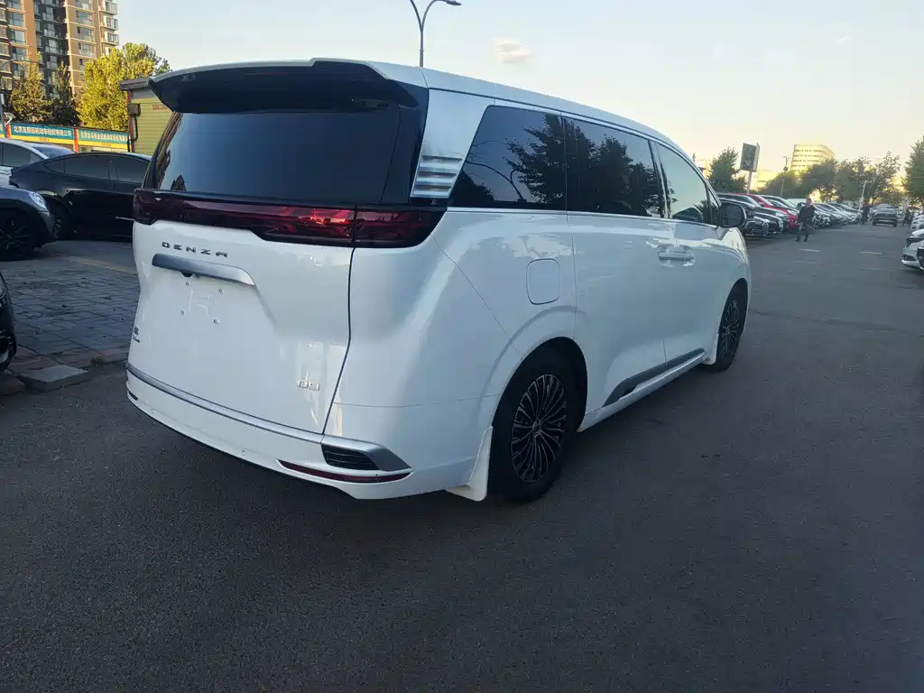 Denza Denza D9 — миниатюра 13