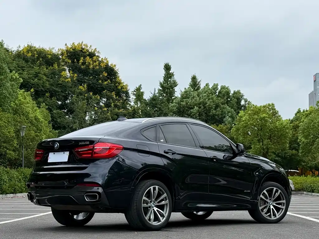 BMW X6 — миниатюра 3