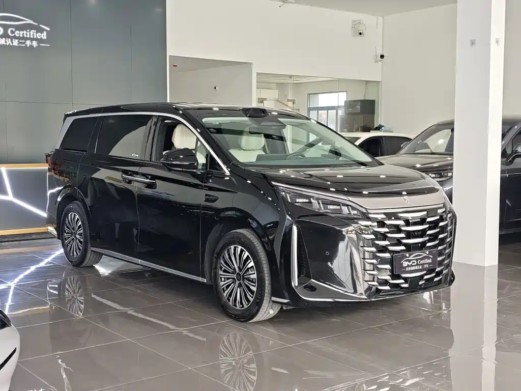BYD Xia — миниатюра 3