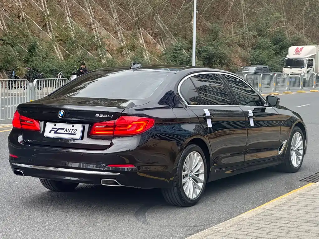BMW 5 SERIES