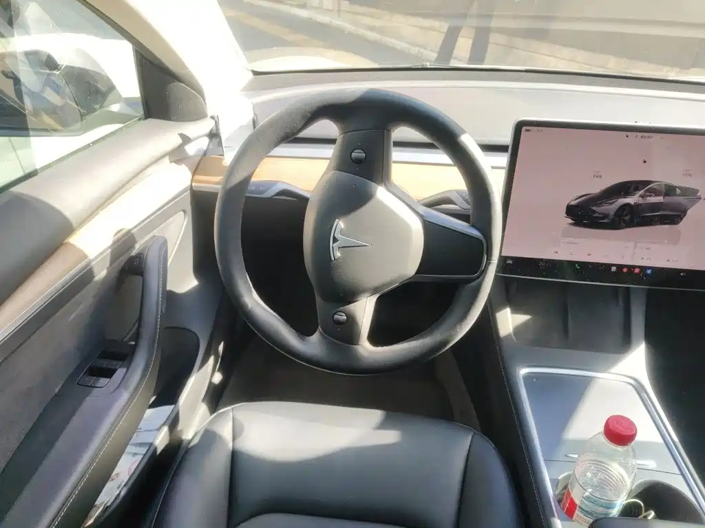 Tesla Model 3 — миниатюра 11