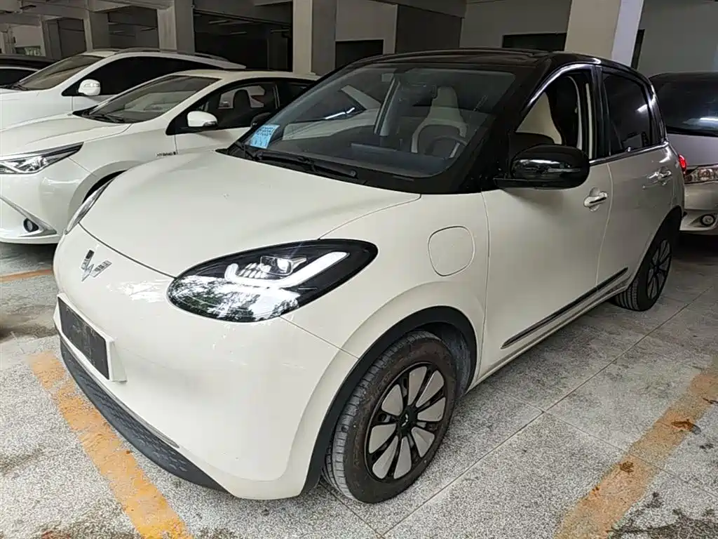 Wuling Bingo 2024