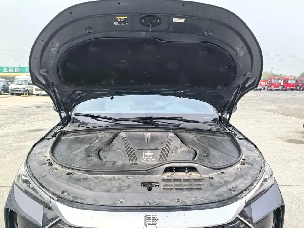 BYD Tang New Energy — миниатюра 5